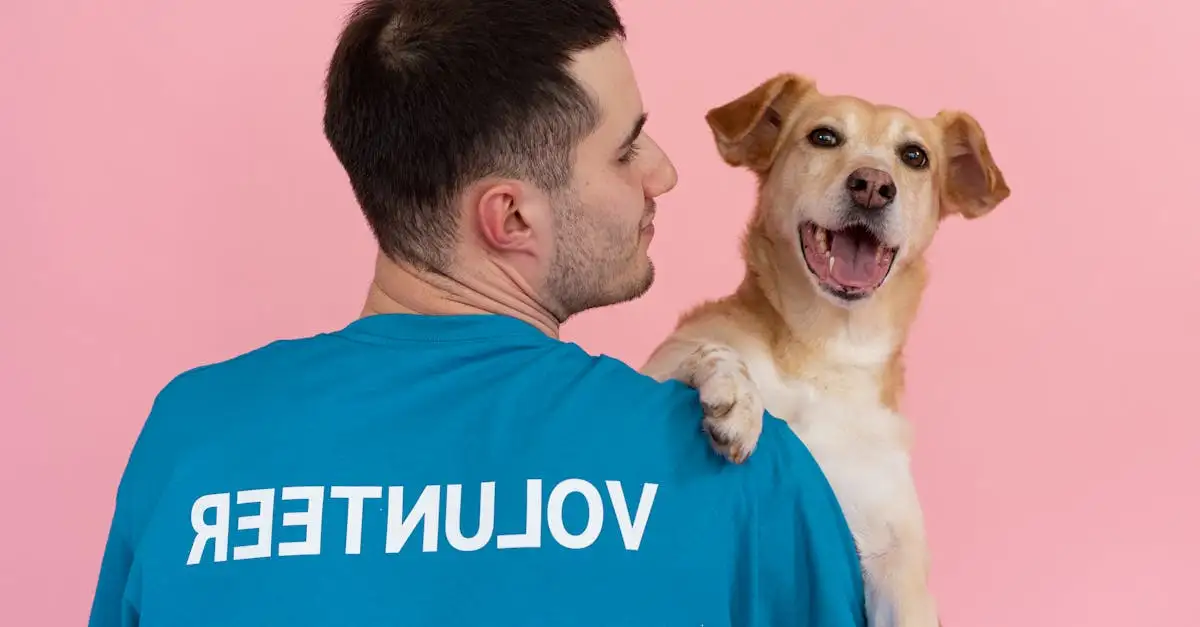 Adopteer een huisdier: Vind uw nieuwe maatje vandaag