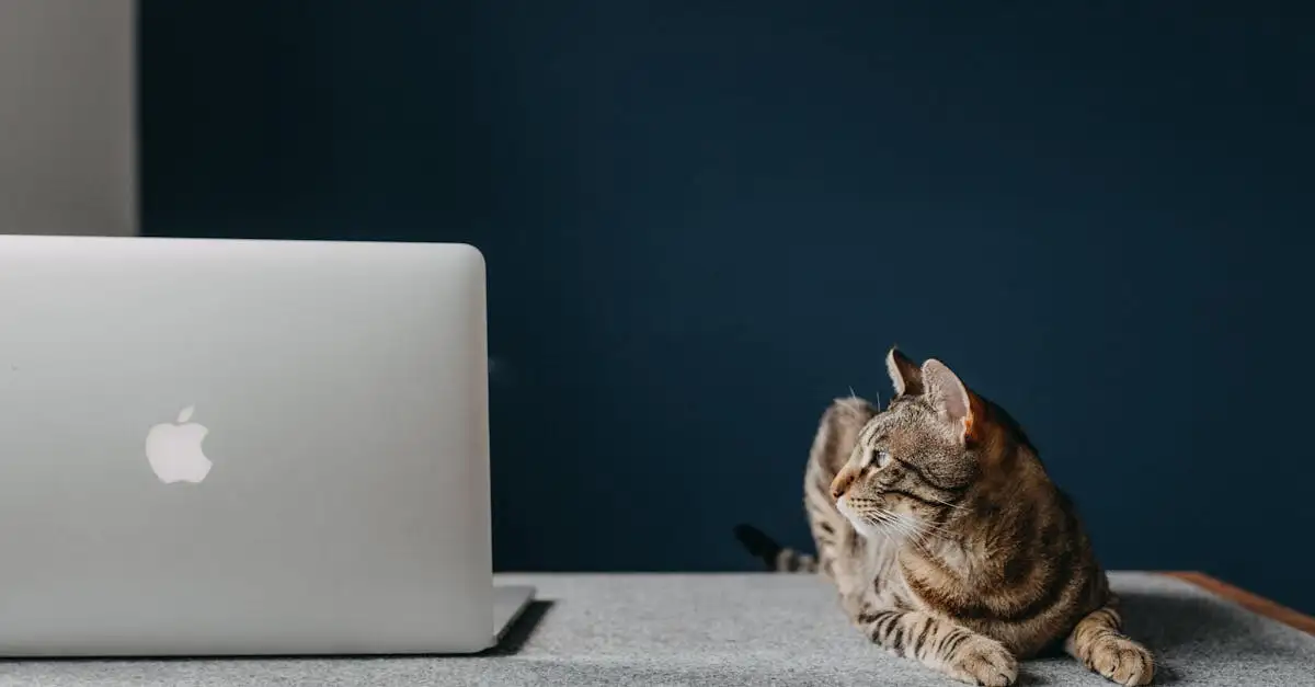 Apple airtag huisdier