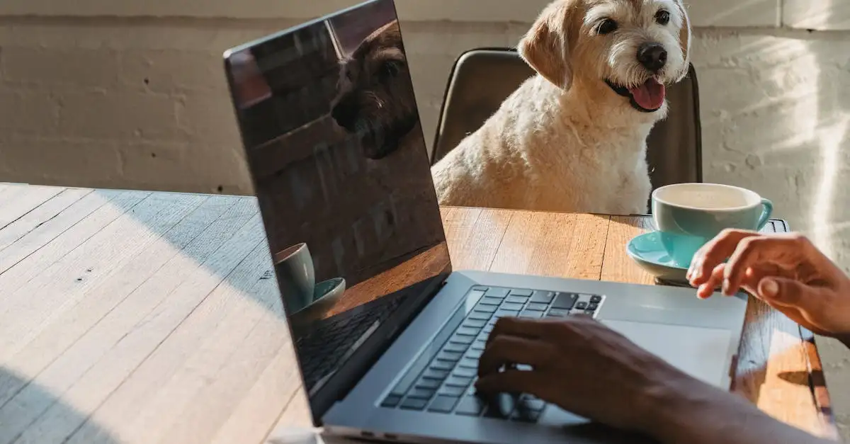 Huisdier online betrouwbaar