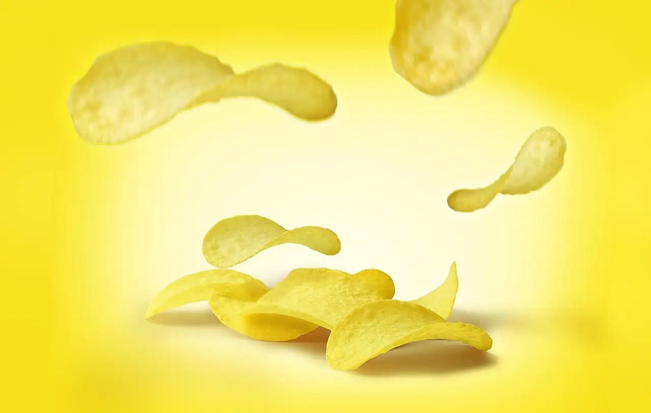 Chip registratie huisdier