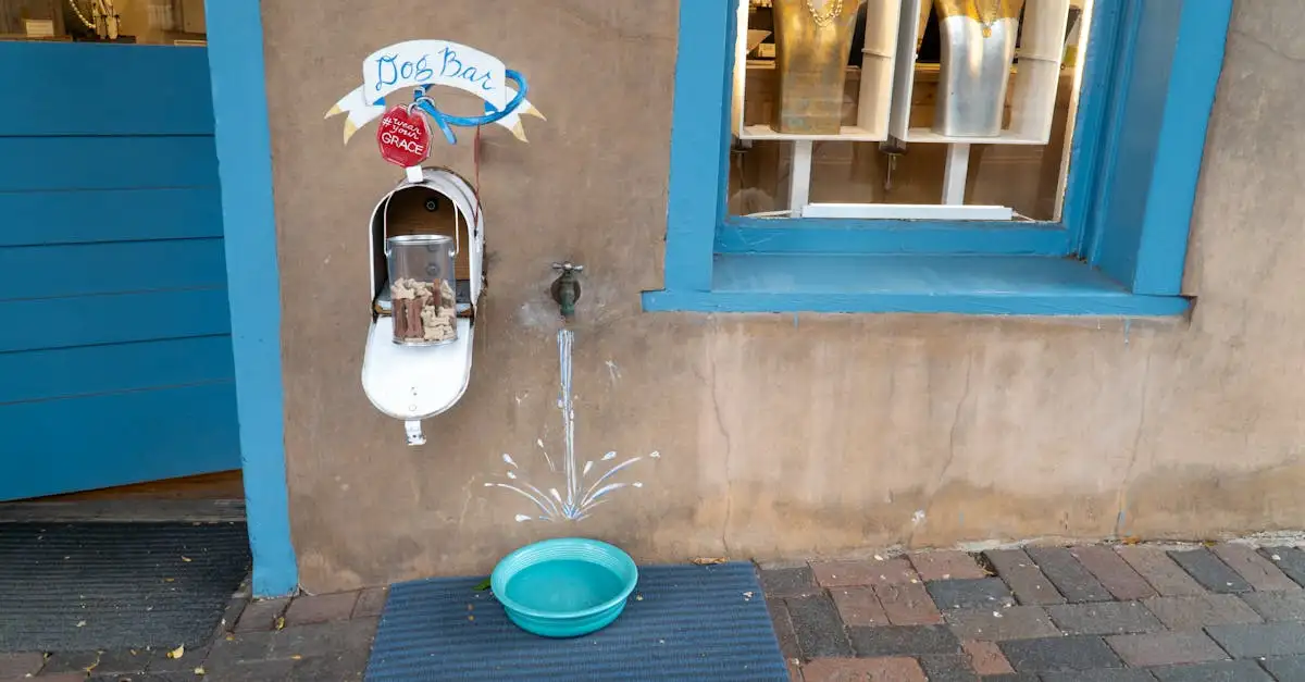 Huisdier fontein: Hydratatie en vers water voor uw dier