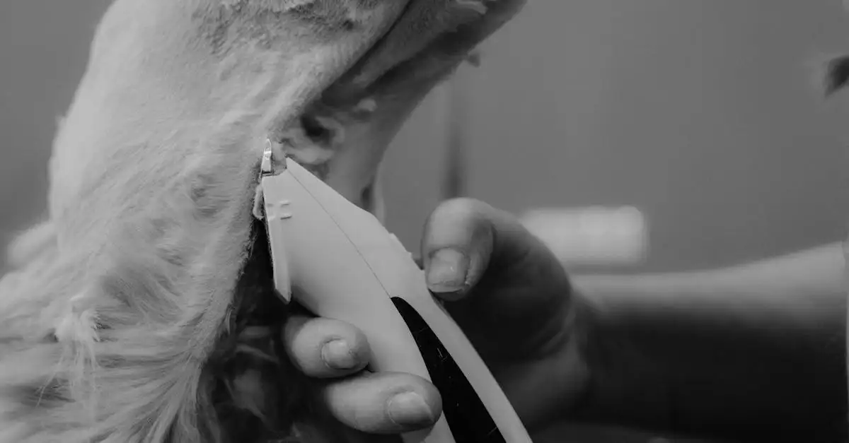 Huisdier tondeuse kopen: professionele verzorging thuis