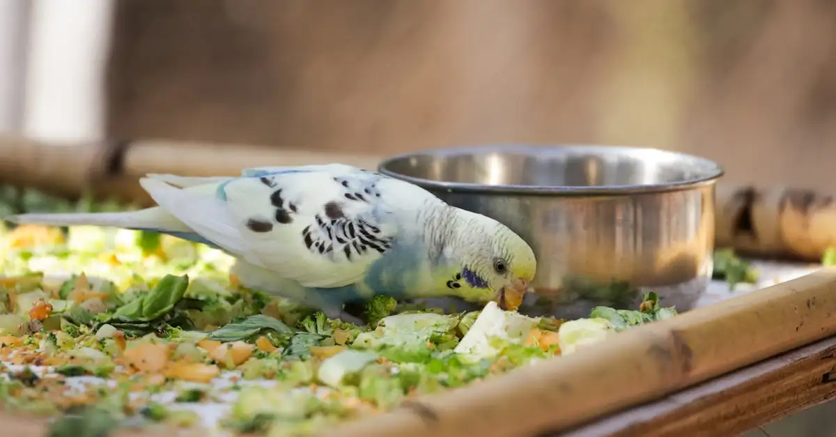 Kinderboeken over vogels als huisdier