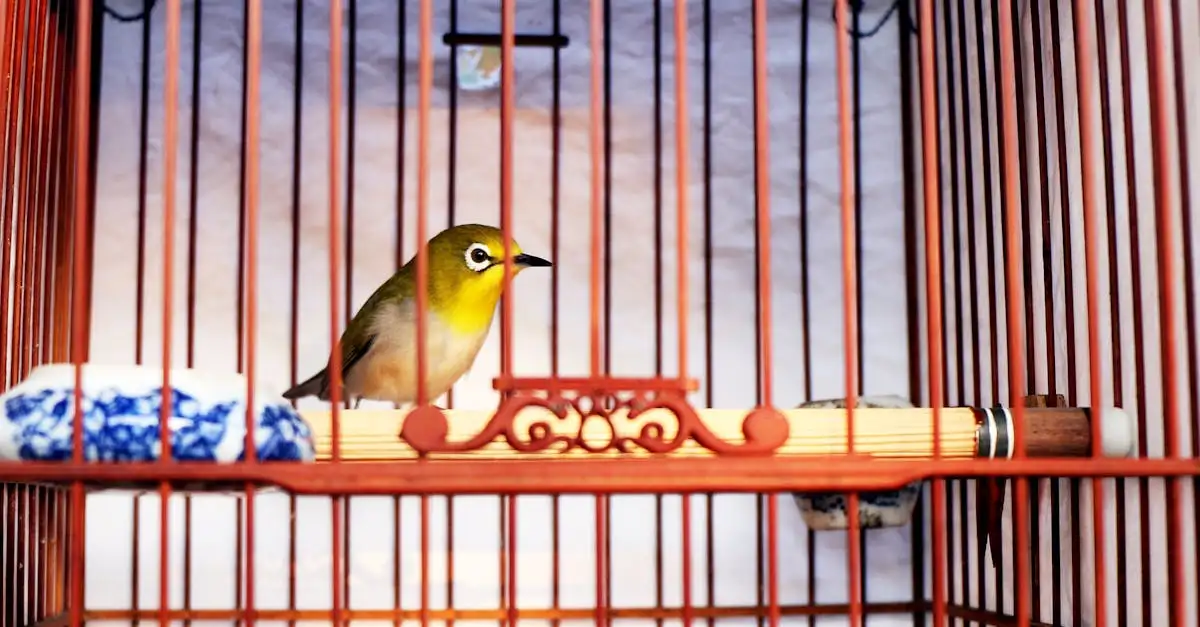 Kleine vogel huisdier
