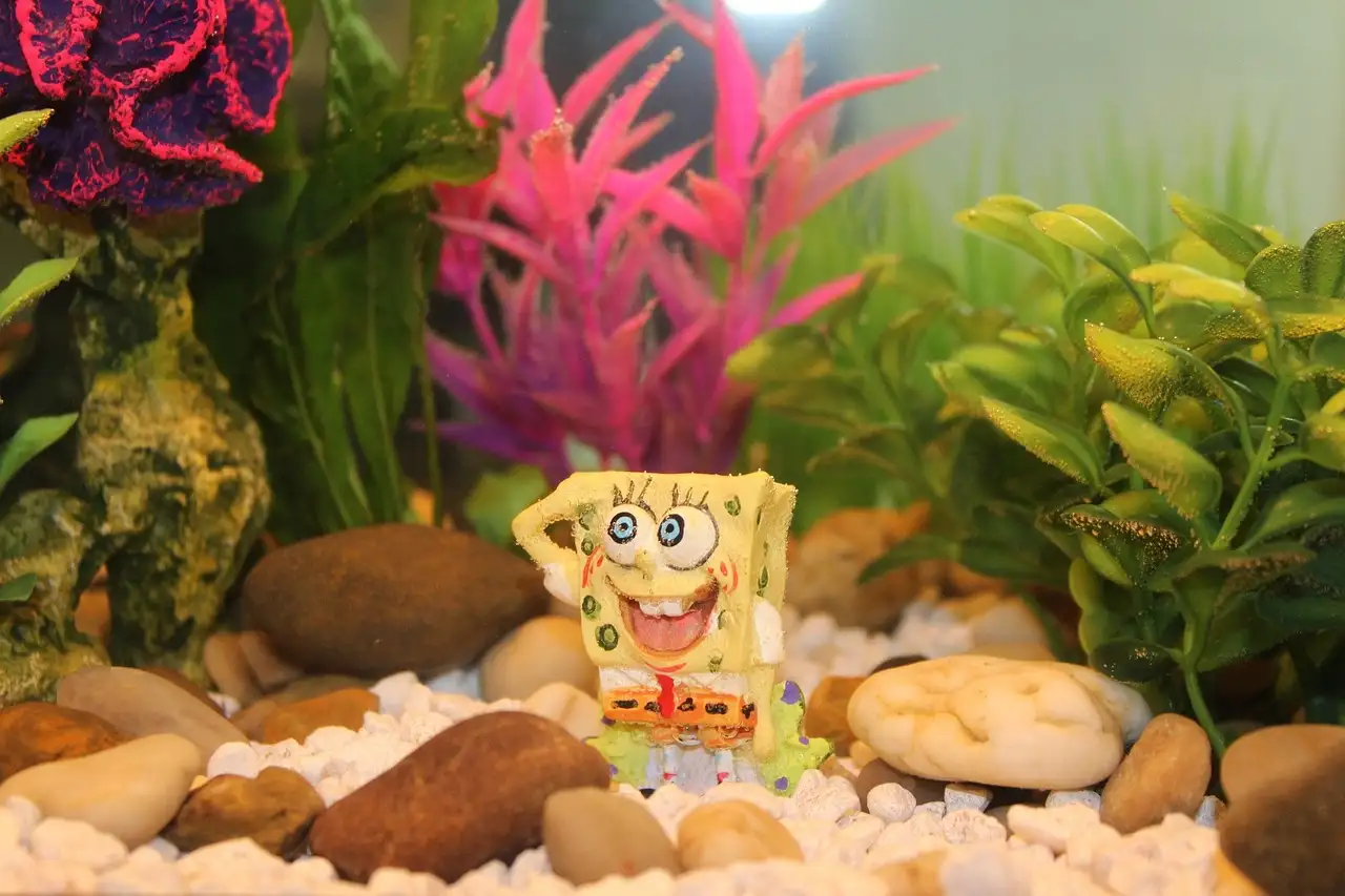 Spongebob huisdier druppie